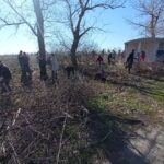 Проведено роботи по видаленню чагарників та порослі дерев