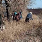 Проведення на території Волохово-Ярського старостинського округу санітарно-екологічного двомісячника