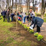 Балаклійською міською радою продовжені роботи по висадженню нових дерев та кущів