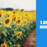 Шановні мешканці Яковенківського старостинського округу!