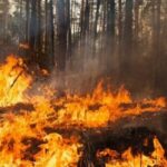 Шановні мешканці Балаклійської громади!