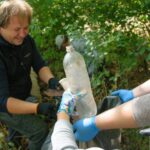 МІЖНАРОДНА АКЦІЯ ВСЕСВІТНІЙ ДЕНЬ ПРИБИРАННЯ