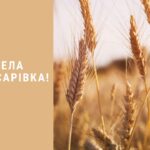 Дорогі мешканці села Нова Гусарівка!