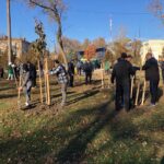 У парку біля пл. Ростовцева та по вул. Жовтнева були висаджені нові дерева та кущі