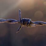 День пам’яті жертв політичних репресій