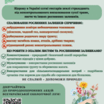 Всеукраїнська екологічна ліга розпочинає природоохоронну акцію «Збережи довкілля – не пали суху траву»