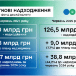 Леся Карнаух: ДПС перевиконала план надходжень за перше півріччя на понад 60,8 млрд гривень