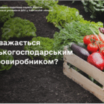 Хто вважається сільськогосподарським товаровиробником?