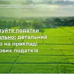 Сплачуйте податки правильно: детальний розбір на прикладі майнових податків