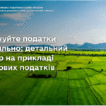 Сплачуйте податки правильно: детальний розбір на прикладі майнових податків