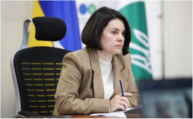 Леся Карнаух: Завдяки автоматизації ефективність стягнення податкового боргу зросла удвічі