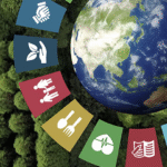 Запрошення українських компаній до співпраці з Japan Index Strategy у межах проєкту ЮНІДО