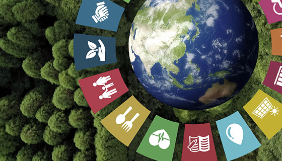 Запрошення українських компаній до співпраці з Japan Index Strategy у межах проєкту ЮНІДО