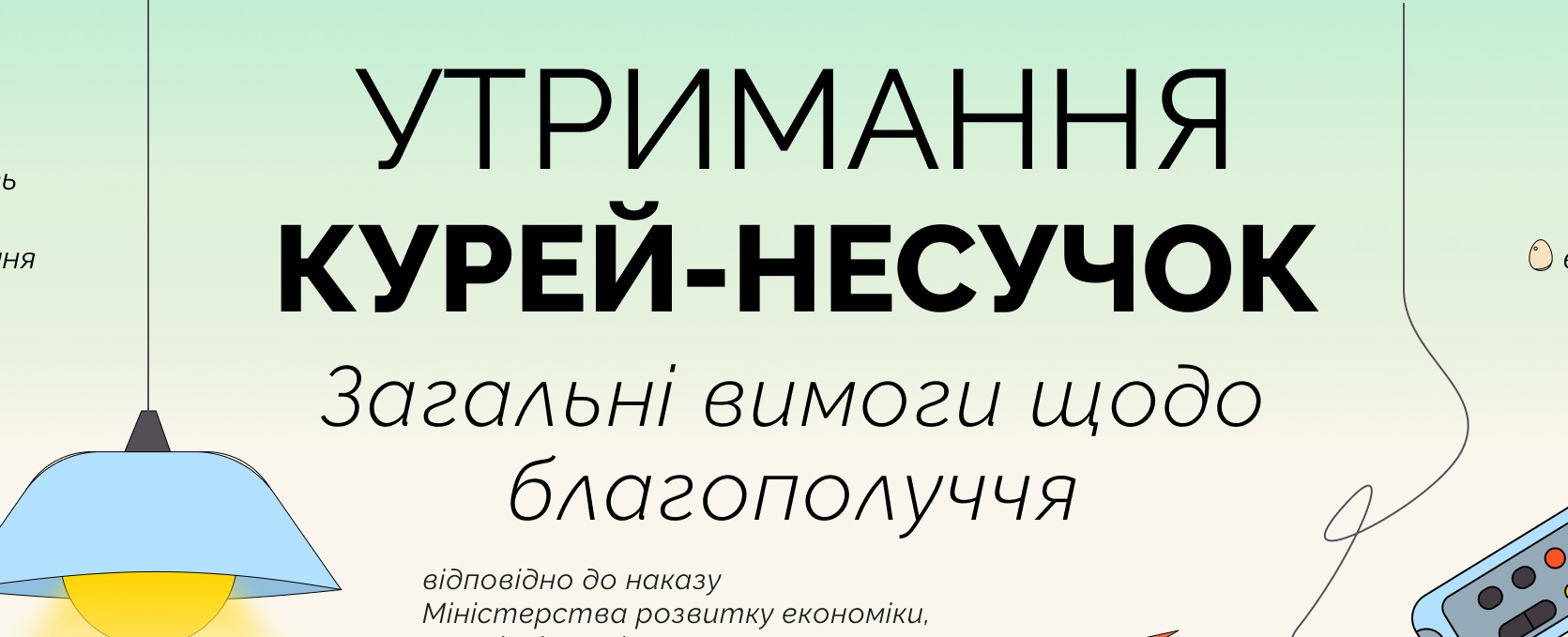 Благополуччя курей‑несучок під час їх утримання: нові вимоги з 1 січня 2026 року