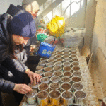 Харківщина – лідер в Україні за реалізацією проєкту «Армія відновлення»