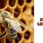 Порядок реєстрації пасіки