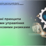 Основні принципи системи управління податковими ризиками