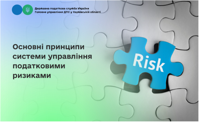Основні принципи системи управління податковими ризиками