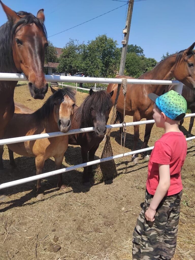 Діти Балаклійської громади відвідали активну стайню «Рай» у межах проєкту «Коні для здоров’я»