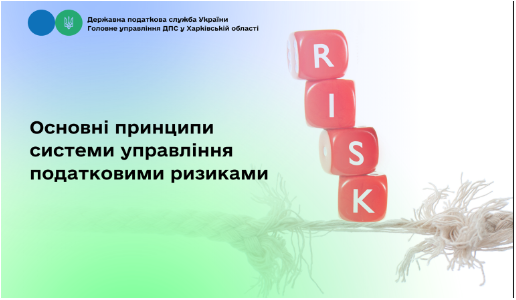 Основні принципи системи управління податковими ризиками