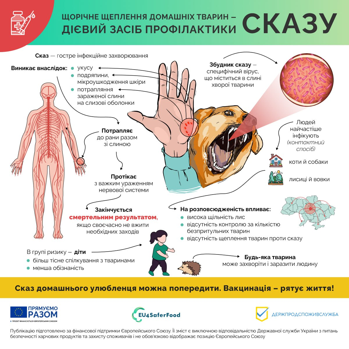 🐾 Пам’ятка сказ !!!